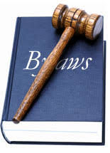 By Laws 2025 AGM approved